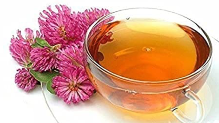 Red Clover Top Tea (6)